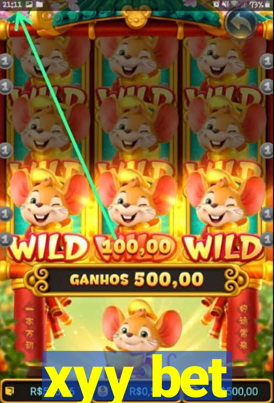 xyy bet